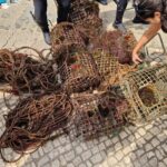 Sul Informação - Mergulhadores limparam lixo subaquático no Parque Natural Marinho da Pedra do Valado
