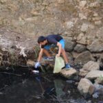 Sul Informação - Jovens de São Brás de Alportel limparam o parque da Fonte Férrea