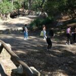 Sul Informação - Jovens de São Brás de Alportel limparam o parque da Fonte Férrea