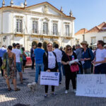 Sul Informação - «Matar o Alojamento Local não é a solução», defendem proprietários em Faro