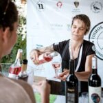 Sul Informação - Mapa e aplicação móvel vão ajudar a encontrar os vinhos do Algarve