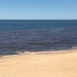 Sul Informação - Interdição em praias algarvias devido à maré vermelha pode durar dias