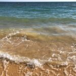 Sul Informação - Interdição em praias algarvias devido à maré vermelha pode durar dias