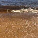 Sul Informação - Interdição em praias algarvias devido à maré vermelha pode durar dias