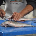 Sul Informação - Mercado Municipal de Silves reabriu com música e alegria
