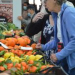 Sul Informação - Mercado Municipal de Silves reabriu com música e alegria