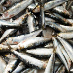 Sul Informação - Festival da Caldeirada arranca amanhã em Armação de Pêra com receitas entre a tradição e a inovação