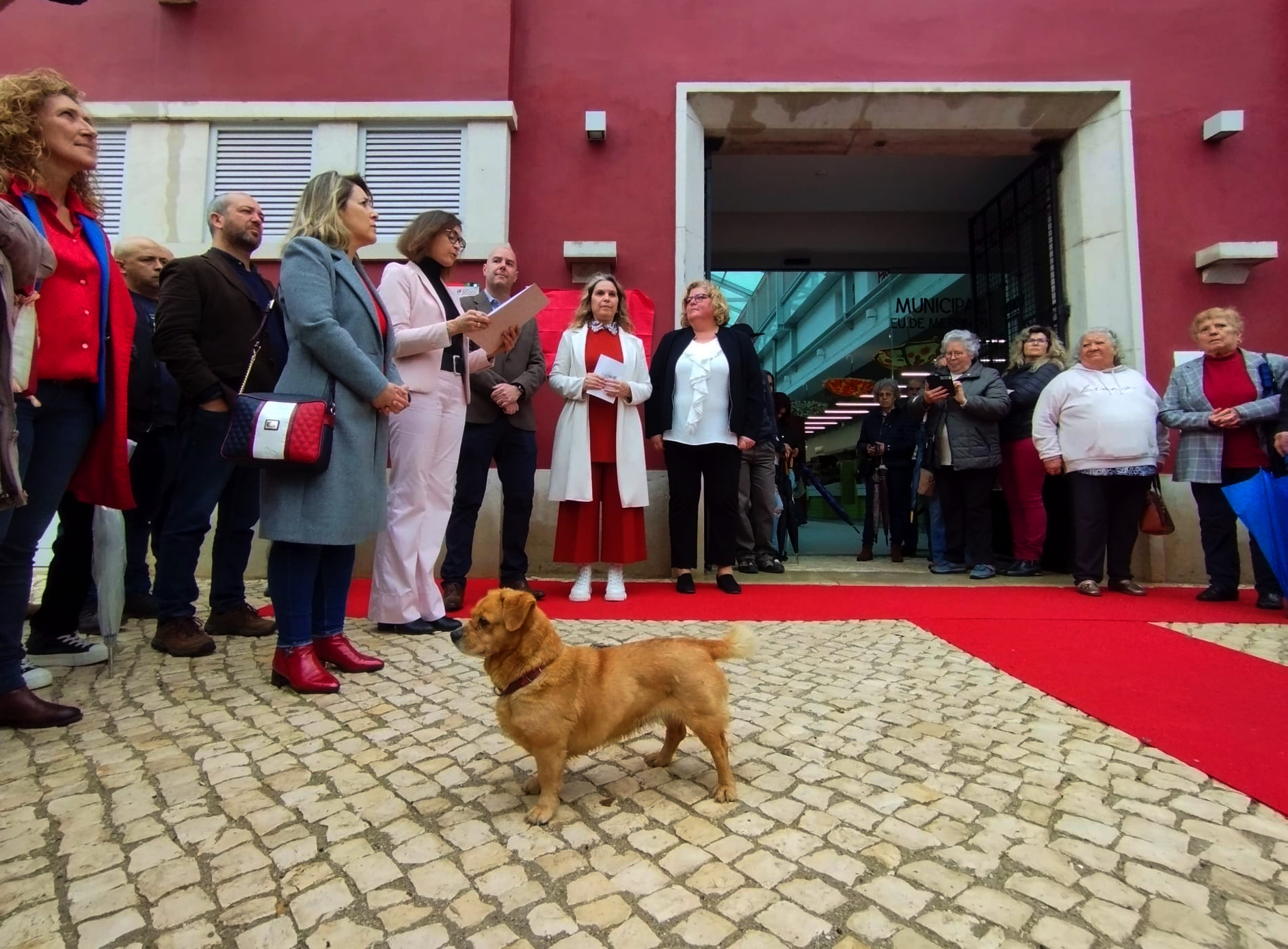 Sul Informação - Milhos aferventados, figos secos e até um cachorro no “novo” Mercado de Messines