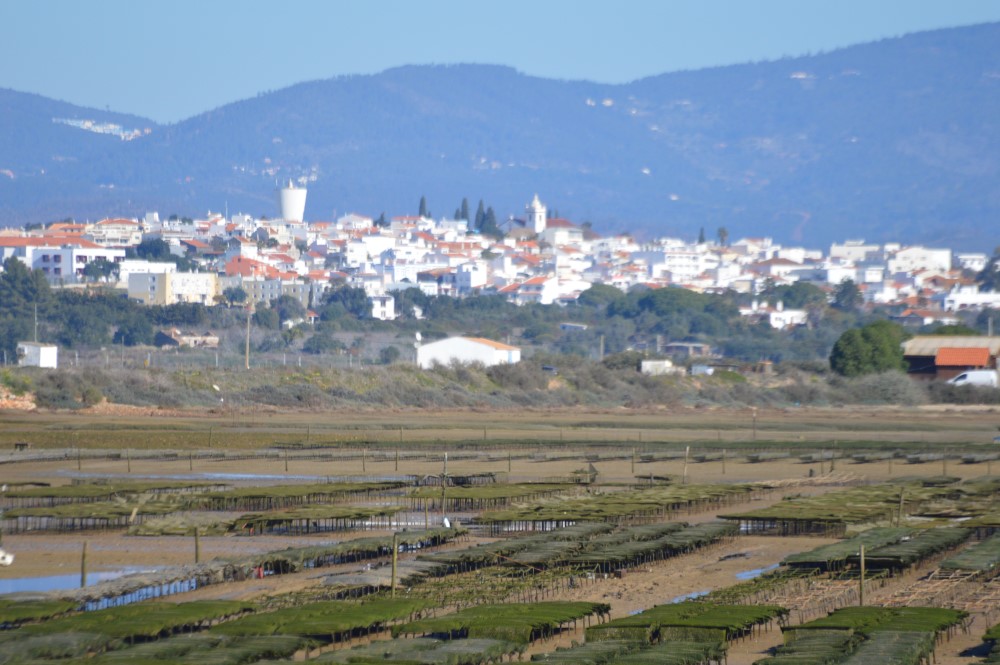 Sul Informação - ISMAT lança “Comunidades Sustentáveis – Projeto Turístico Aplicado às Aldeias do Barrocal Algarvio”