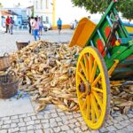 Sul Informação - Fotogaleria: Raízes da Mexilhoeira Grande mostraram-se no largo da vila