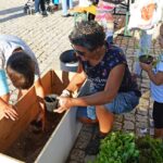 Sul Informação - Fotogaleria: Raízes da Mexilhoeira Grande mostraram-se no largo da vila