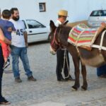 Sul Informação - Fotogaleria: Raízes da Mexilhoeira Grande mostraram-se no largo da vila
