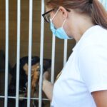 Sul Informação - Exemplo de Monchique para garantir bem-estar animal é «muito plural»