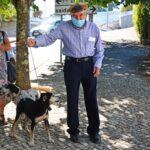 Sul Informação - Exemplo de Monchique para garantir bem-estar animal é «muito plural»