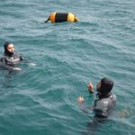 Sul Informação - Ministro do Mar mergulhou no «primeiro viveiro de amêijoas em mar aberto do mundo»