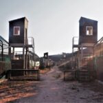 Sul Informação - Governo investe meio milhão para que linces regressem a Silves em Novembro