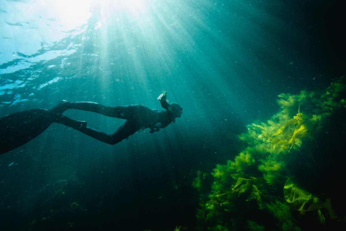 Sul Informação - “Programa Atlantis” mostra em Lagos ações de regeneração dos oceanos