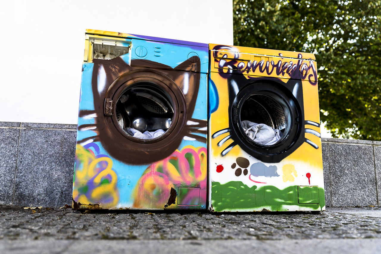 Sul Informação - Gatos de Monchique ganham casa em máquinas de lavar “artísticas”