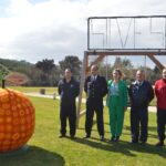 Sul Informação - Mostra da Laranja em Silves marca o regresso à normalidade no Algarve [com vídeo]