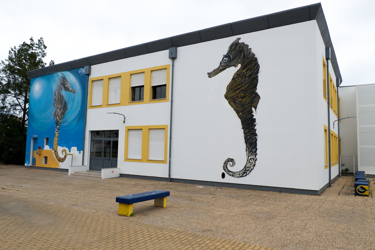 Sul Informação - Escola de Olhão ganha mural para ajudar a salvar os cavalos marinhos