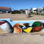 Sul Informação - Primeiro dia do Festival de Observação de Aves de Sagres culmina com libertação de águia-calçada
