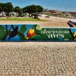 Sul Informação - Sagres tem mural que homenageia Festival de Observação de Aves