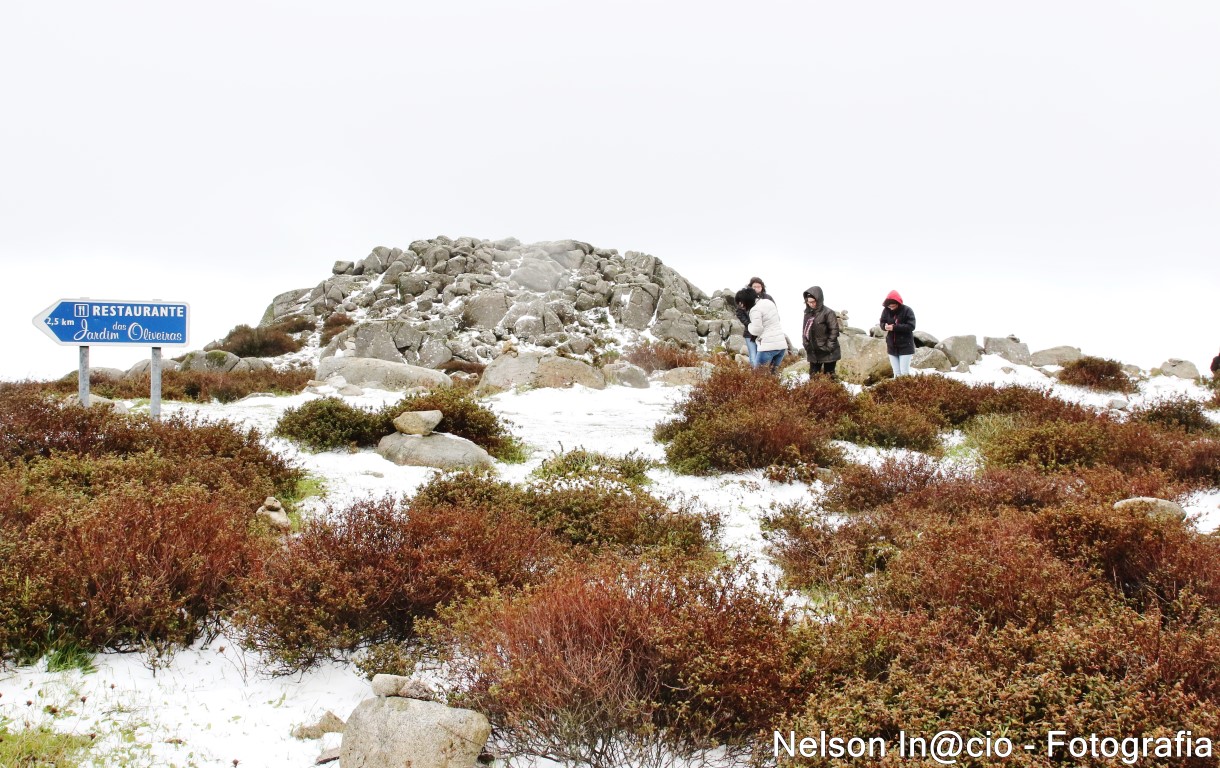Sul Informação - IPMA explica a queda de neve «pouco habitual» que tingiu de branco topo da Serra de Monchique