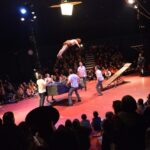 Sul Informação - Trombones, trapézios voadores e trampolins fizeram a festa do novo circo em Monchique