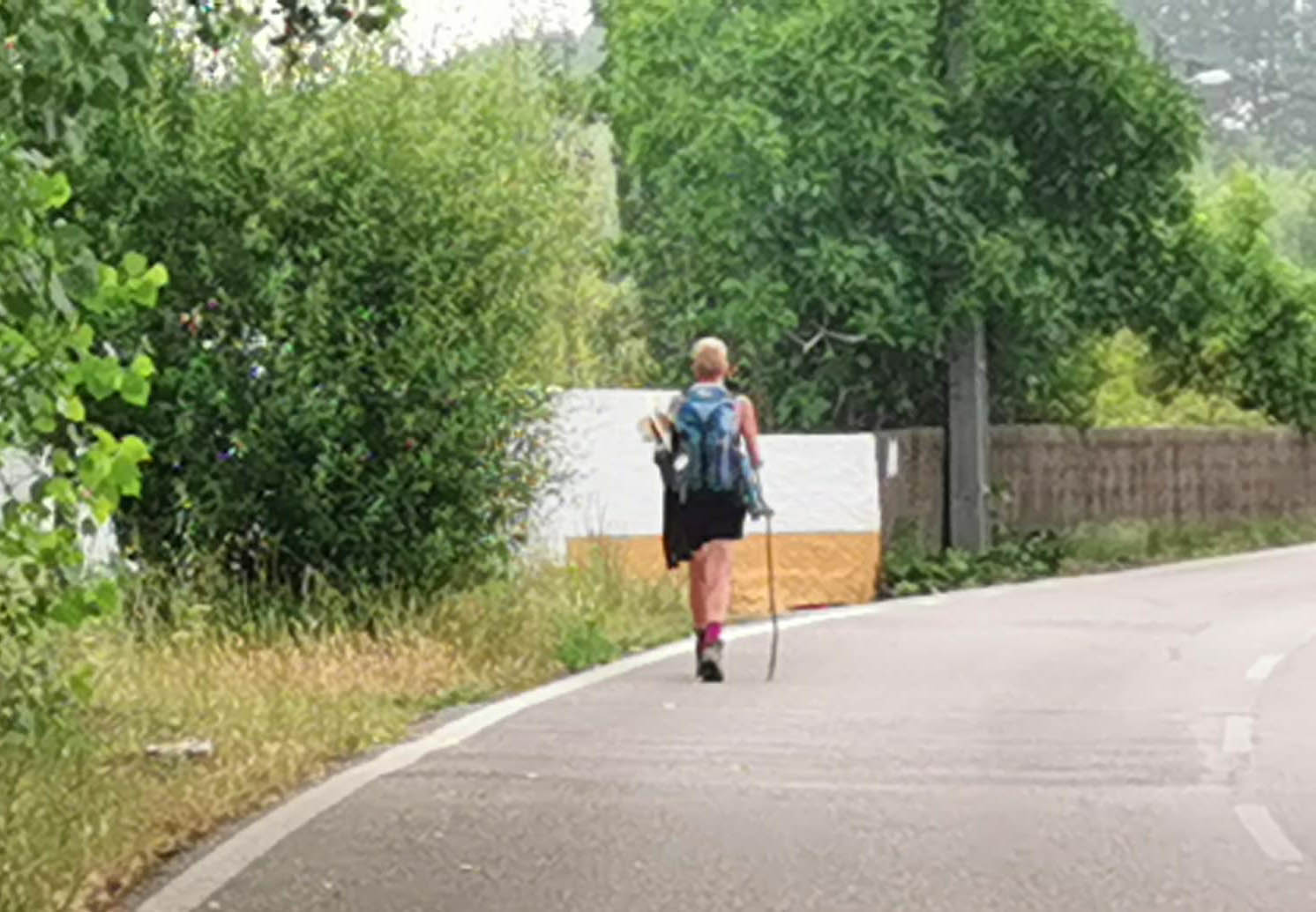 Sul Informação - De Coimbra até…ao leitão, 26 km a pé pelo Caminho de Santiago