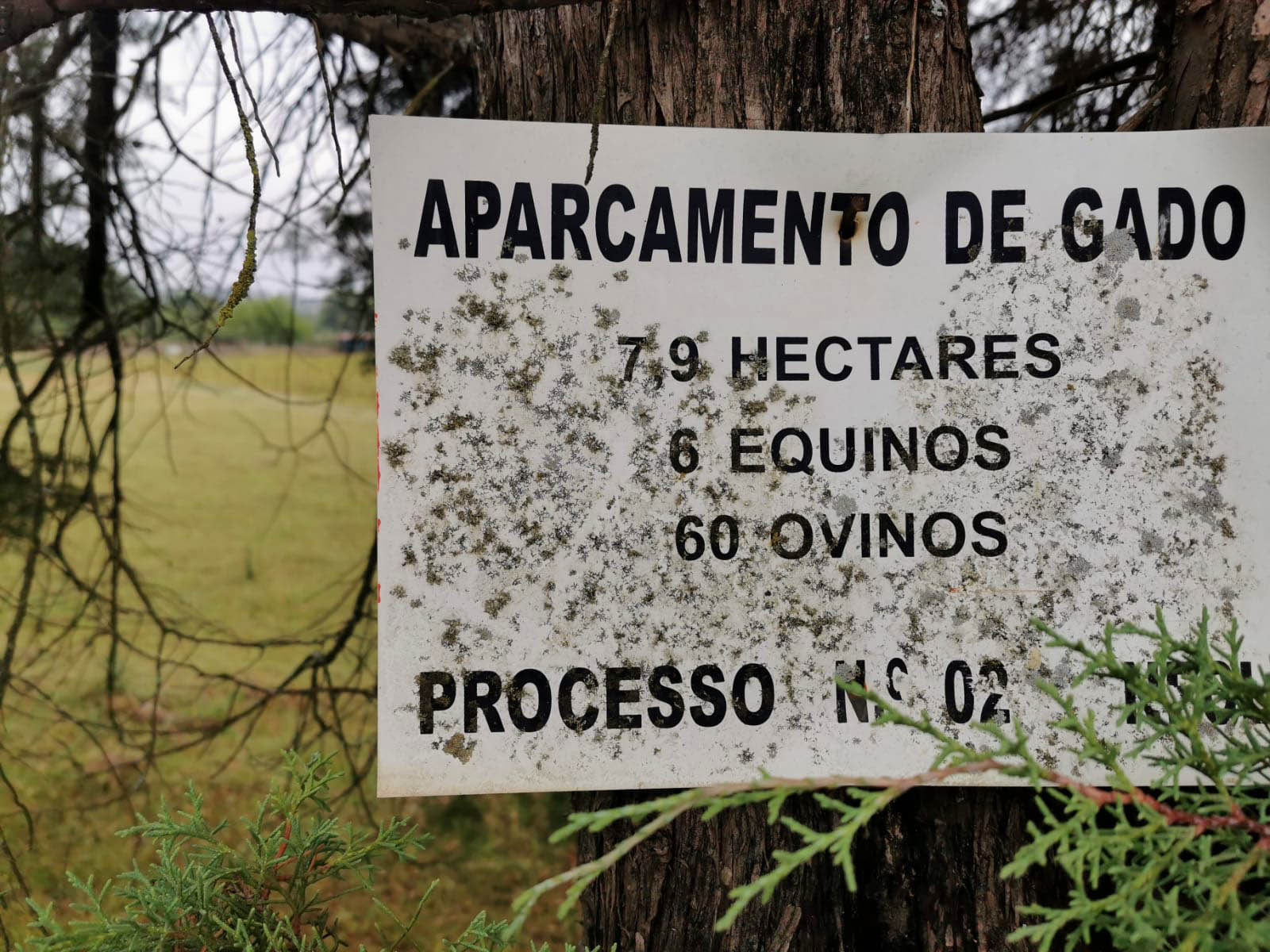 Sul Informação