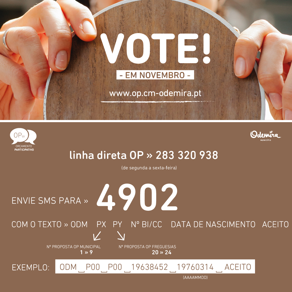 Sul Informação