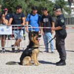 Sul Informação - Jovens podem descobrir o que fazer com o seu futuro no OPTO em Albufeira