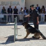 Sul Informação - Jovens podem descobrir o que fazer com o seu futuro no OPTO em Albufeira