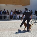 Sul Informação - Jovens podem descobrir o que fazer com o seu futuro no OPTO em Albufeira