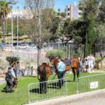 Sul Informação - 10.500 estudantes, professores e pais visitaram o OPTO em Albufeira