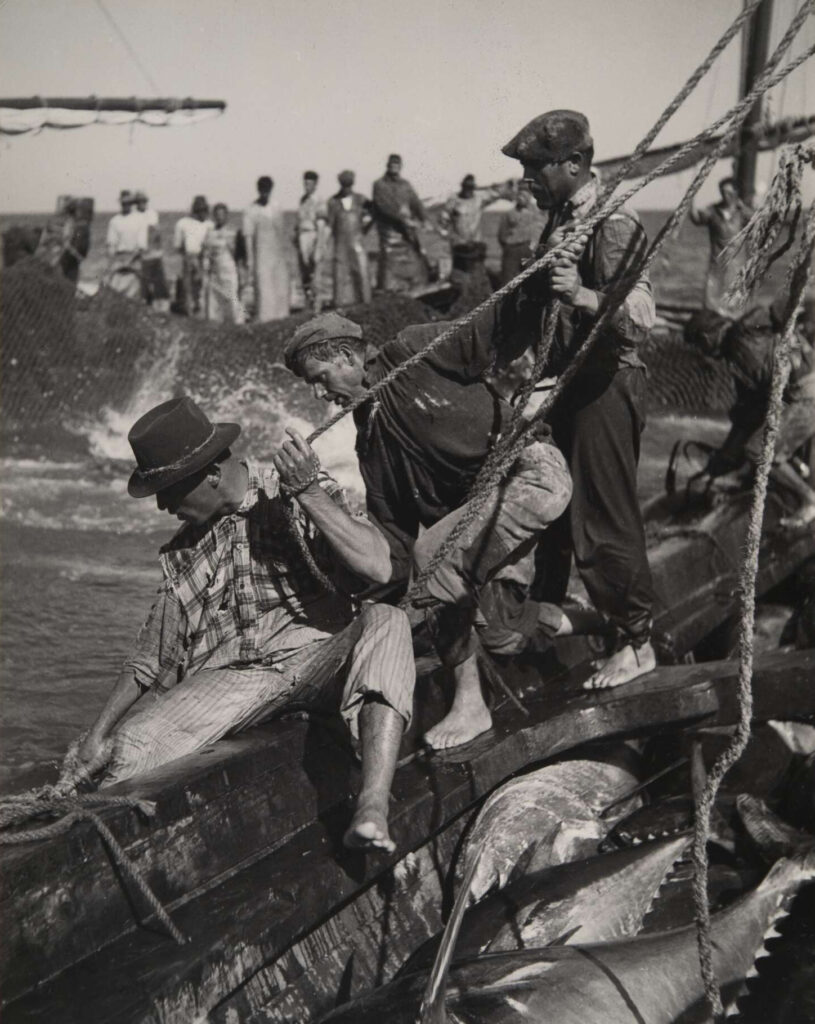 «O Algarve de Artur Pastor» | Arquivo Municipal de Lisboa - a "tourada do mar"