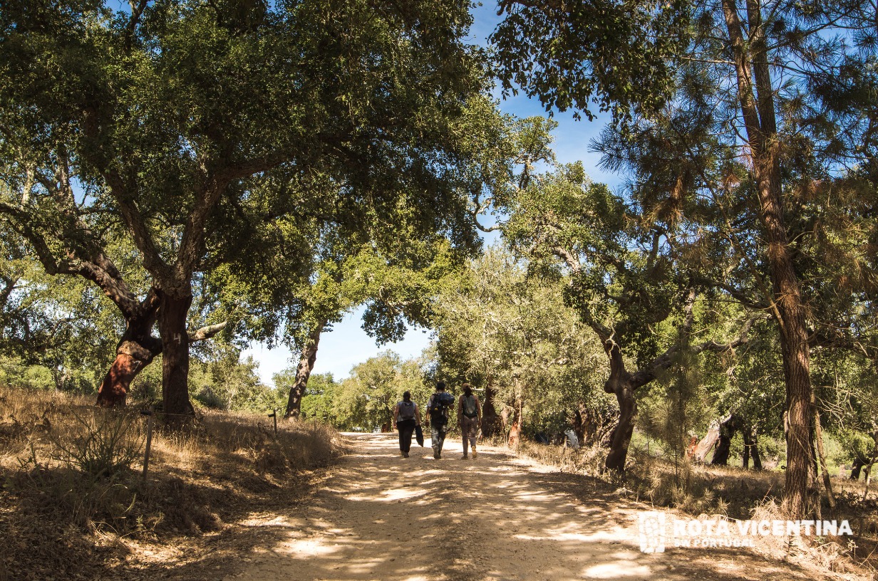 Sul Informação - Turismo do Algarve faz-se à Rota Vicentina para ver consequência do incêndio