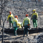 Sul Informação - Estabilização de emergência quer evitar enxurradas a seguir ao fogo em Odeceixe