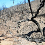 Sul Informação - Estabilização de emergência quer evitar enxurradas a seguir ao fogo em Odeceixe