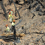 Sul Informação - Estabilização de emergência quer evitar enxurradas a seguir ao fogo em Odeceixe