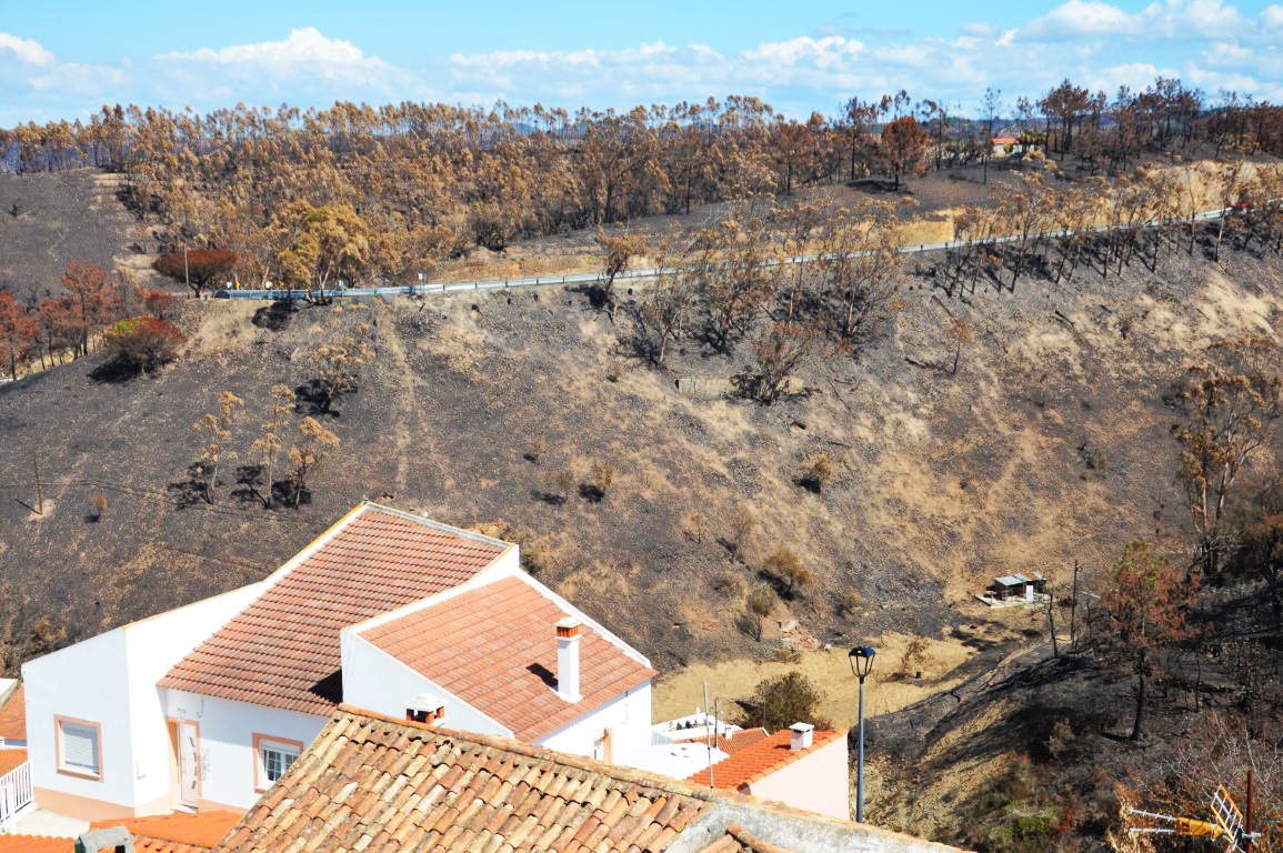Sul Informação - Governo atribui apoios de 2ME para famílias e 2,5ME para câmaras após incêndios