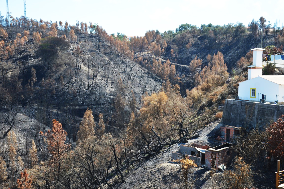 Sul Informação - Área ardida em 2023 no Algarve foi muito inferior «ao que era expectável»