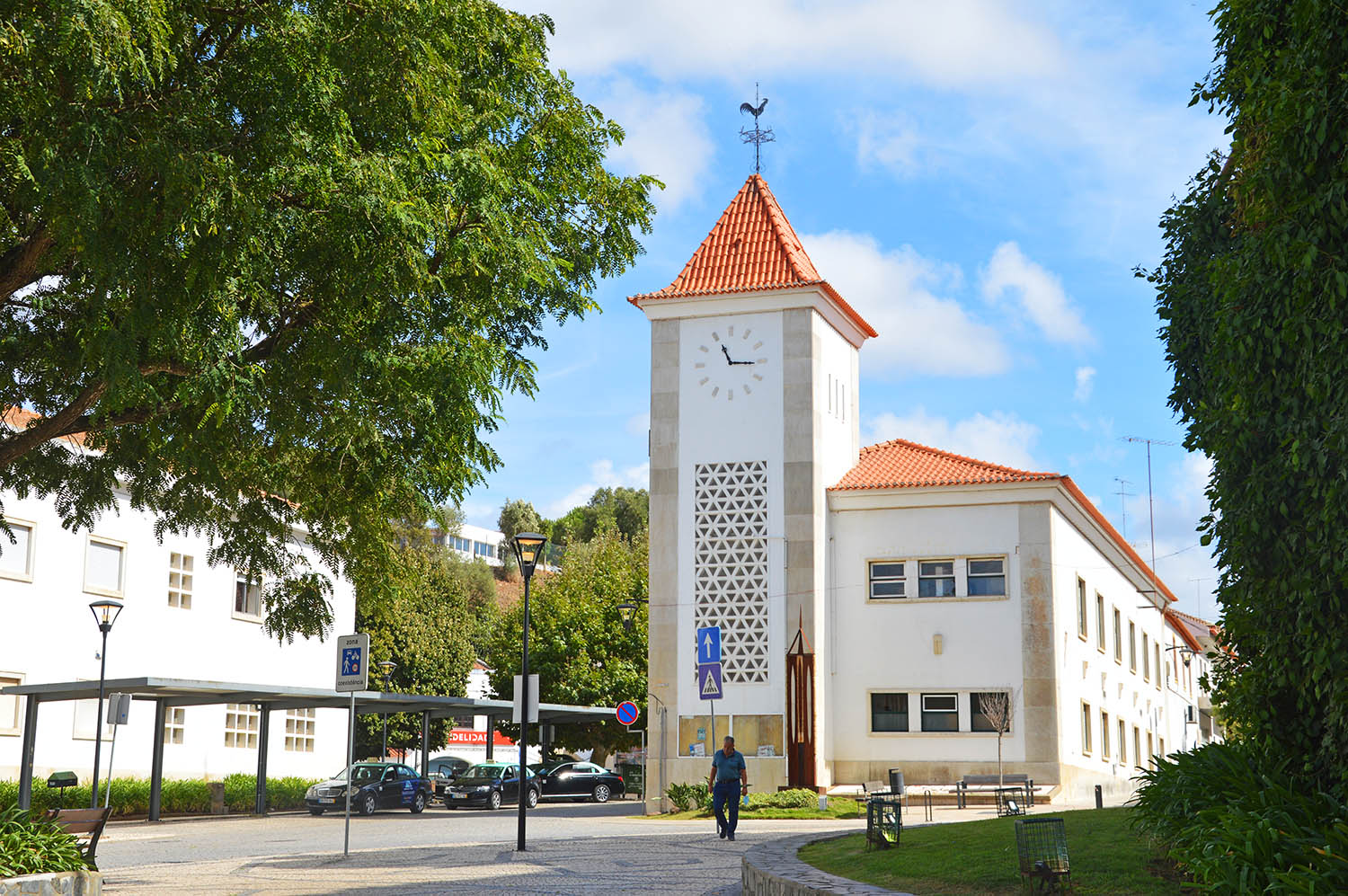 Sul Informação - PSD/Beja faz campanha em Odemira