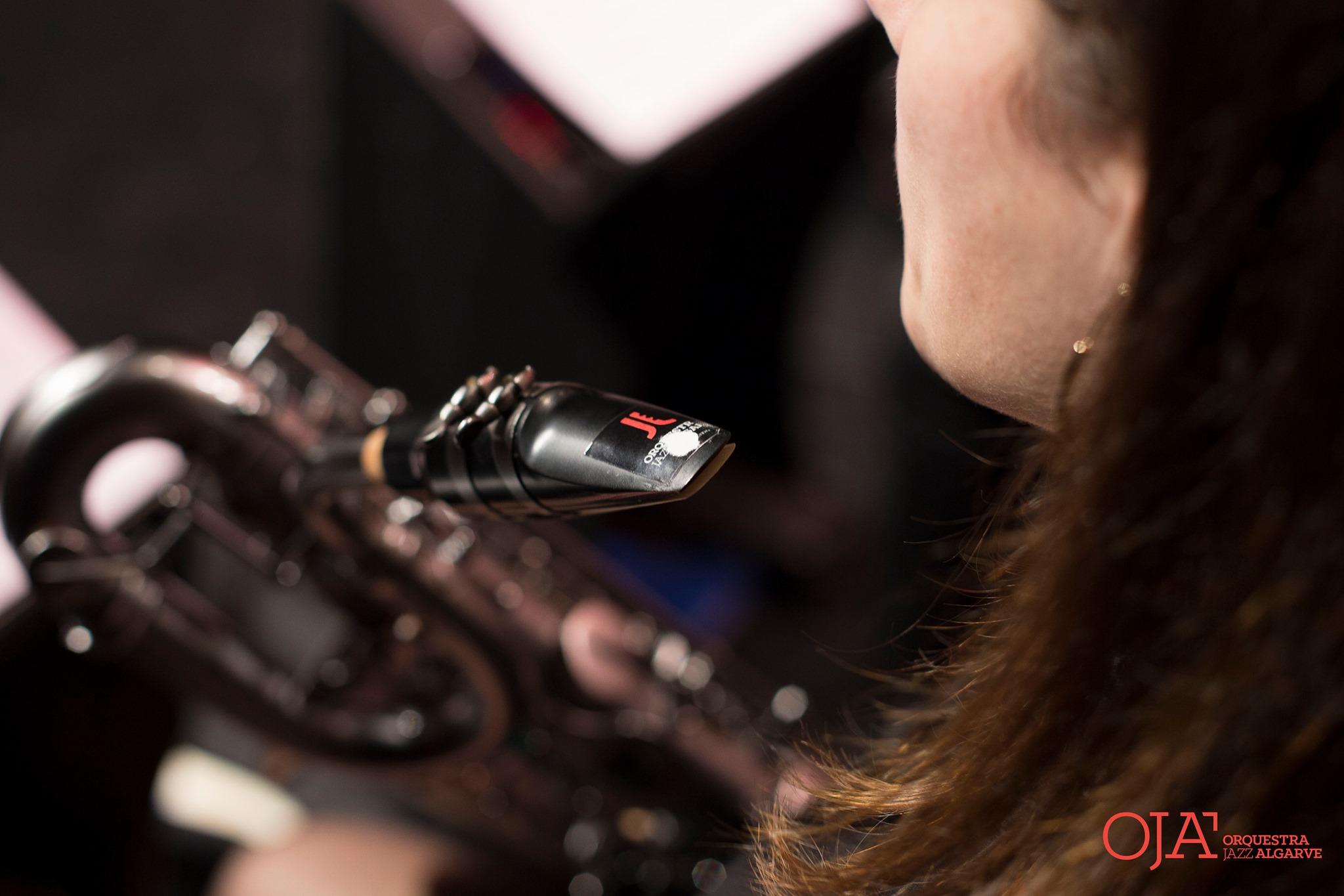 Sul Informação - Jazz no feminino, Hogwarts e “Vidas com Arte” no Teatro das Figuras