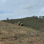 Sul Informação - Reflorestação de 147 hectares na freguesia do Ameixial já foi terminada