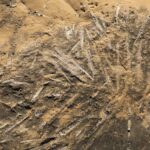 Sul Informação - História geológica do Algarve revela-se nas camadas multicores da Praia da Luz