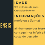 Sul Informação - História geológica do Algarve revela-se nas camadas multicores da Praia da Luz