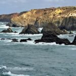 Sul Informação - Terras sem Sombra “mergulhou” em Colos, Odemira e na ponta da Carraca