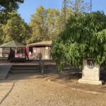 Sul Informação - Parque da Juventude de Portimão encerra segunda-feira para obras de requalificação