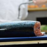Sul Informação - «Lavrar o Mar» começa com espetáculo para comer e espreitar em Aljezur e Monchique